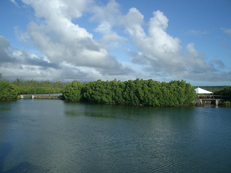 Mauritius 2006 (1).JPG